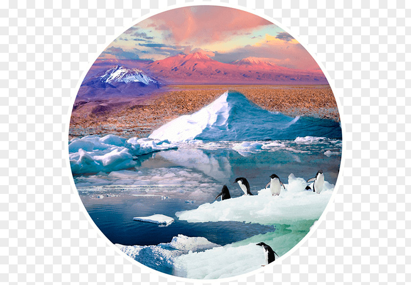 Global Arctic Polar Ice Cap Regions Of Earth Glacier Sea PNG