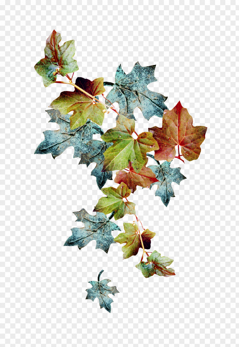 Autumn Christmas Ornament Leaf Branching PNG