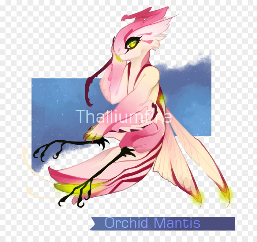 Mantis Artist Orchid Drawing PNG