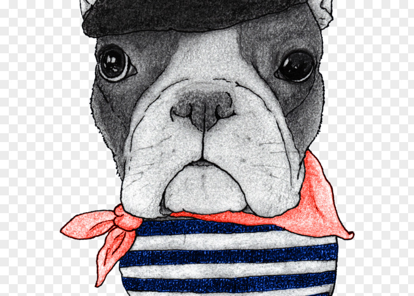 Puppy French Bulldog Chihuahua T-shirt PNG
