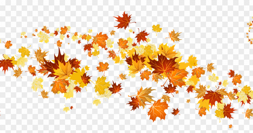 Autumn Clip Art Leaf Color Image Autumnal Leaves PNG