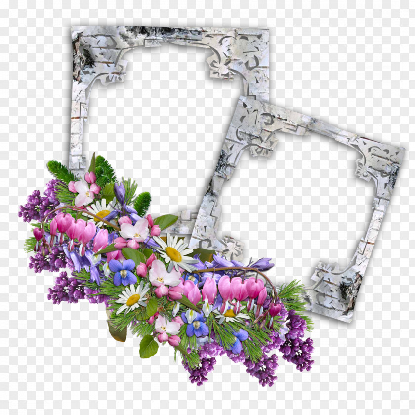 Floral Frame Picture Frames Molding PNG