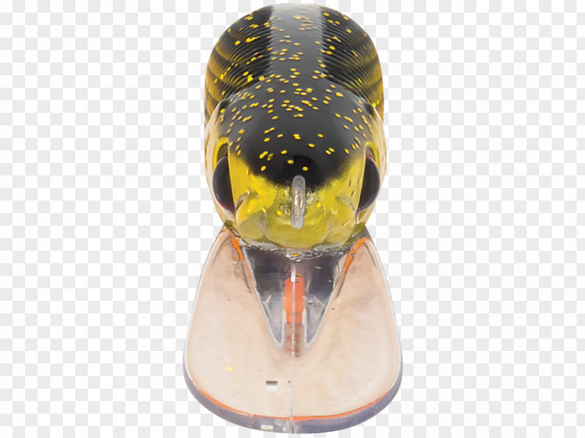 Gold Digger Beak Shoe PNG