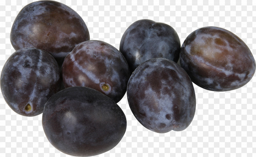 Plum Image Damson Gin Slivovitz PNG