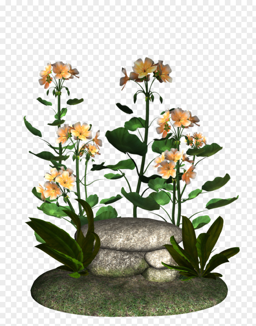 Rock Flower Floral Design Tree Floristry PNG