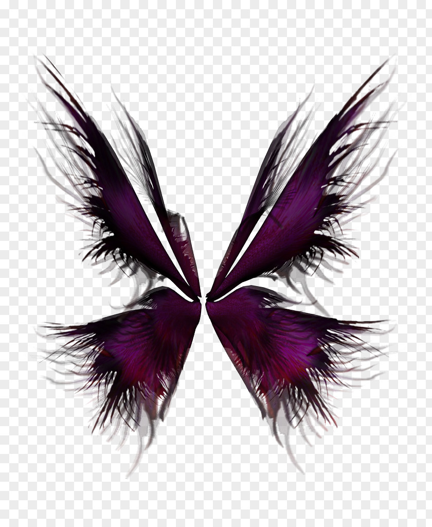 Broken Wings Wing Purple PNG