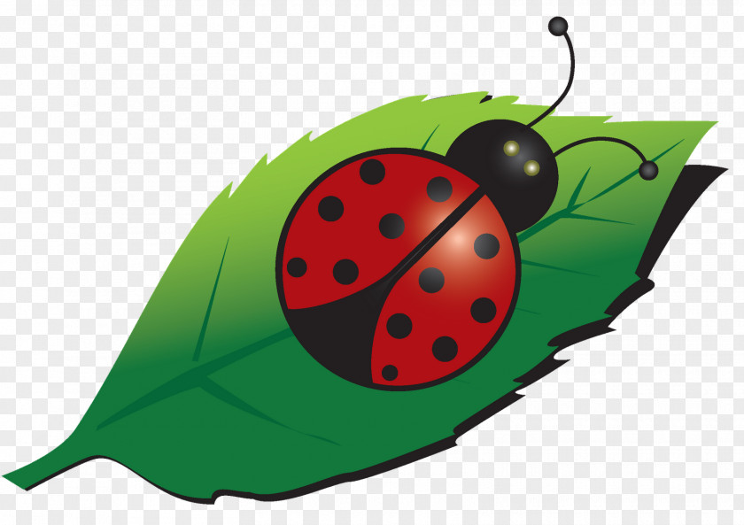 Cute Ladybug Ladybird Beetle T-shirt Email Clip Art PNG