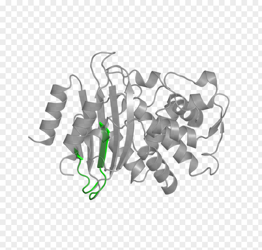 European Bioinformatics Institute Natriuretic Peptide Nuclear Receptor PNG