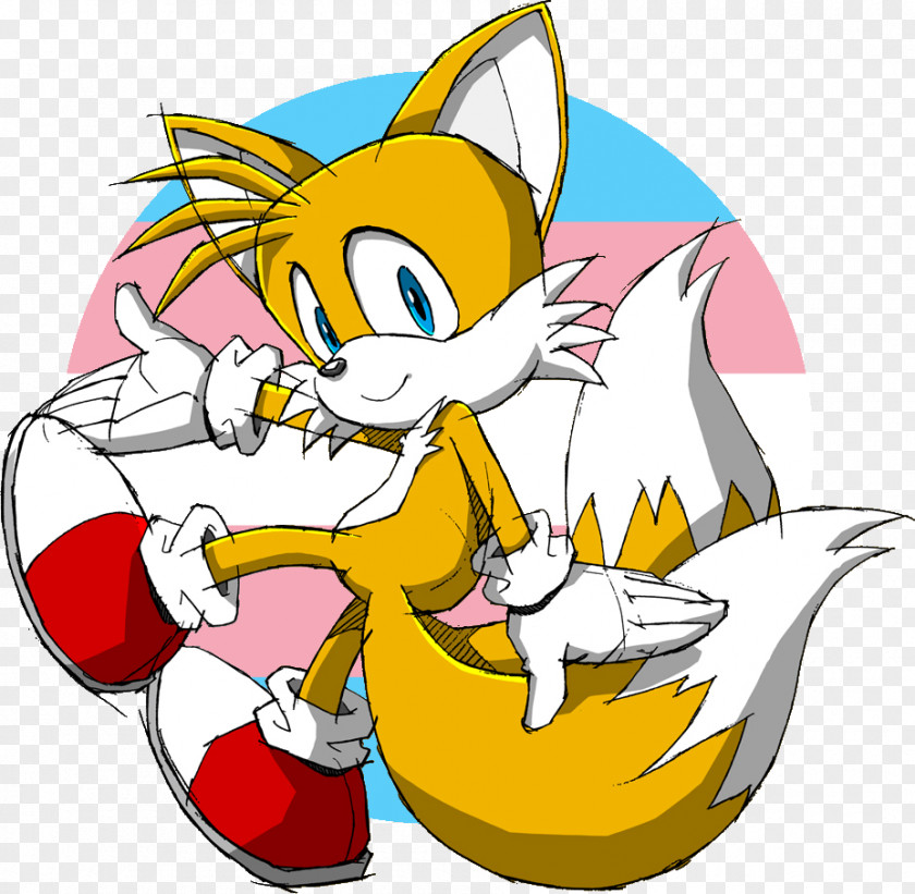 Fox Sonic Chaos Tails & Sega All-Stars Racing Lost World Dash PNG