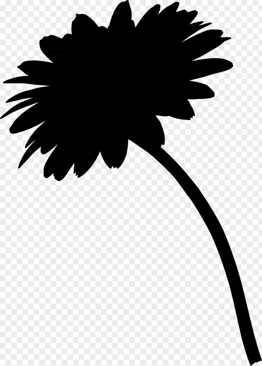 Leaf Daisy Family Clip Art Plant Stem Silhouette PNG