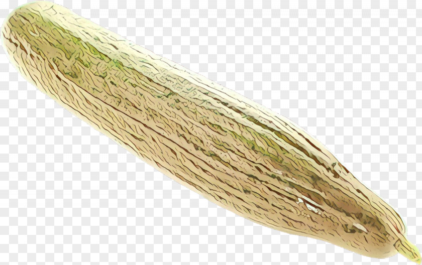 Luffa Commodity Ingredient PNG
