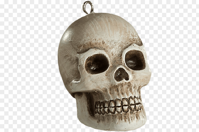 Skull Human Skeleton Christmas Horror PNG