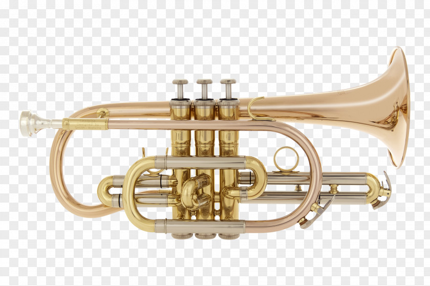 Trumpet Cornet Flugelhorn Saxhorn Mellophone PNG