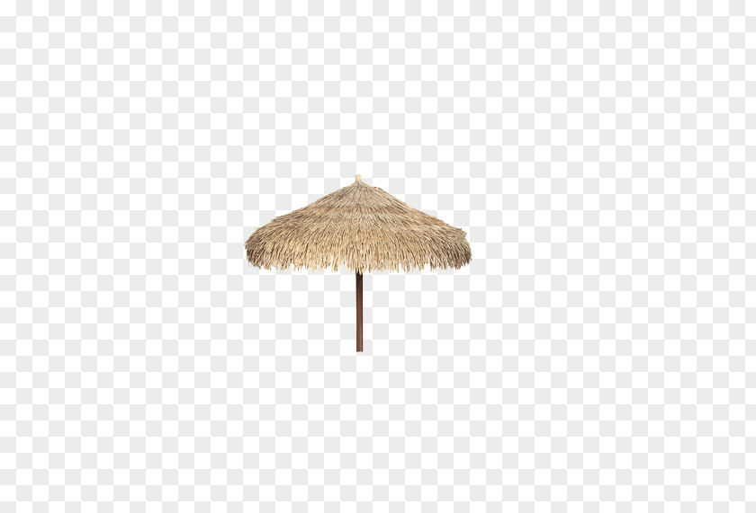 Umbrella Icon PNG
