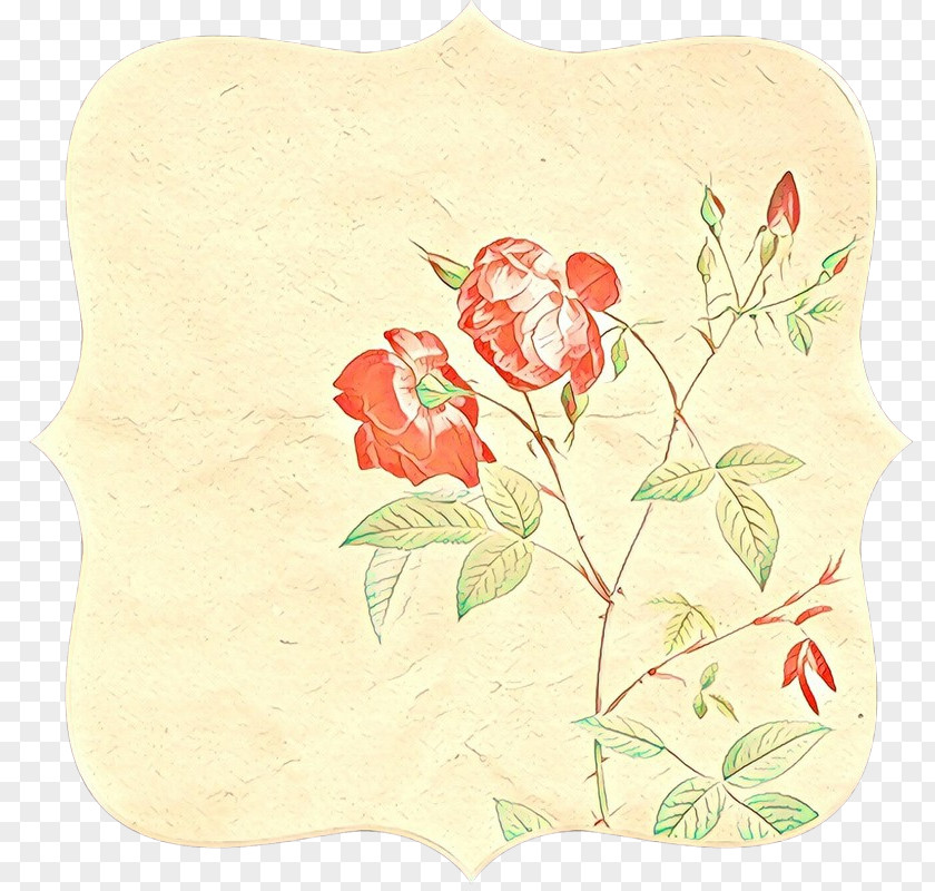 Wildflower Petal Rose PNG