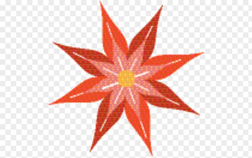 Flower Plant Star Background PNG