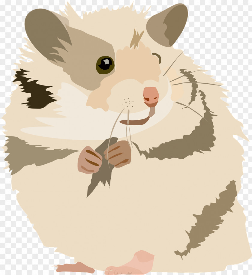 Whiskers Guinea Pig Golden Background PNG