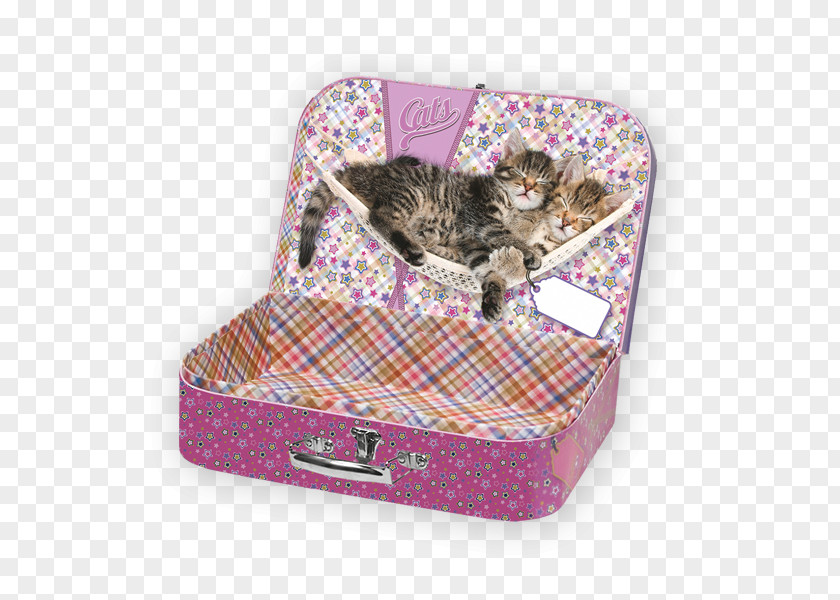 Cat Tabby Kitten Computer Mouse Mats PNG
