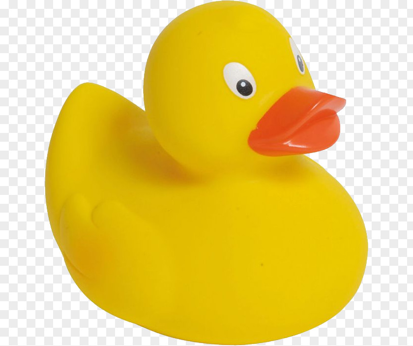 Duck Rubber Bathtub Bathroom Tile PNG