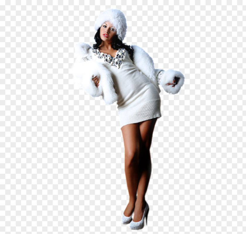 Good Evening Winter Woman The Sun Three Hups Fur Clothing Marie (v.1) PNG