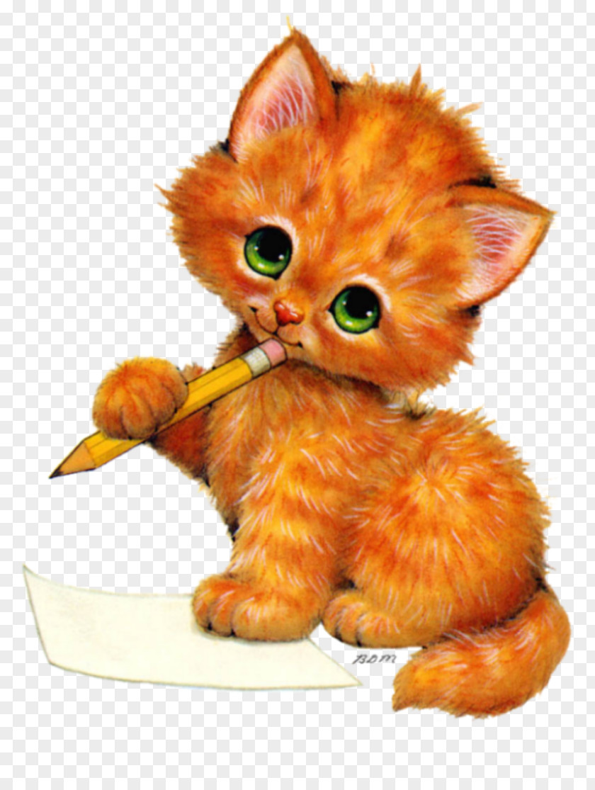 Kitten Kittens And Cat Clip Art PNG