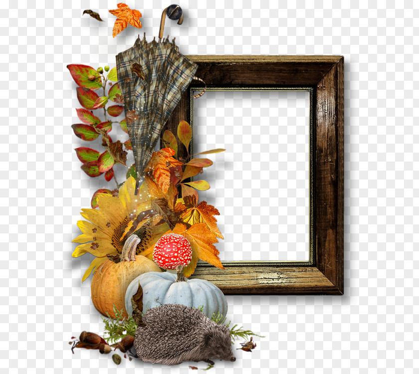 Special Frame Automne Clip Art Image Picture Frames Drawing PNG