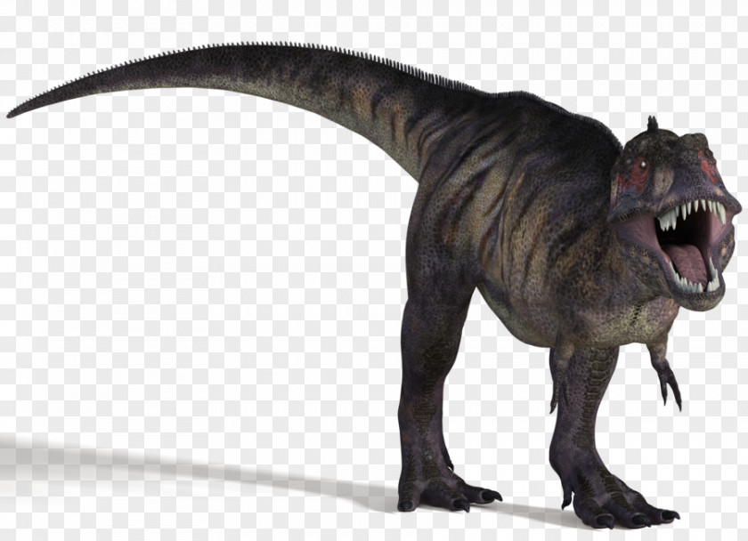 Tyrannosaurus Majungasaurus Apatosaurus Spinosaurus Dinosaur PNG