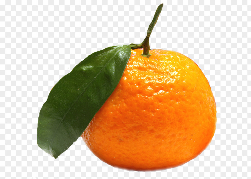 Grapefruit Clementine Fruit Tangerine Food Mandarin Orange PNG