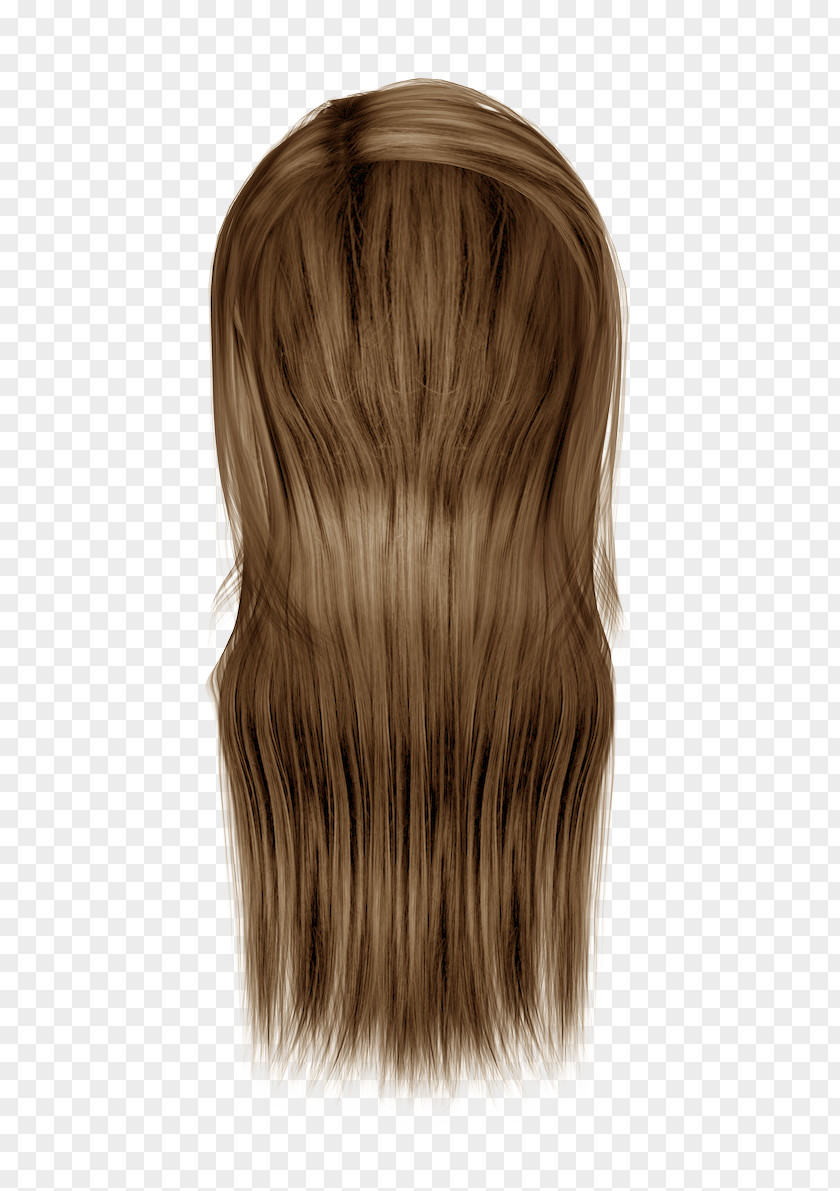 Hair Coloring Wig Hairstyle PNG