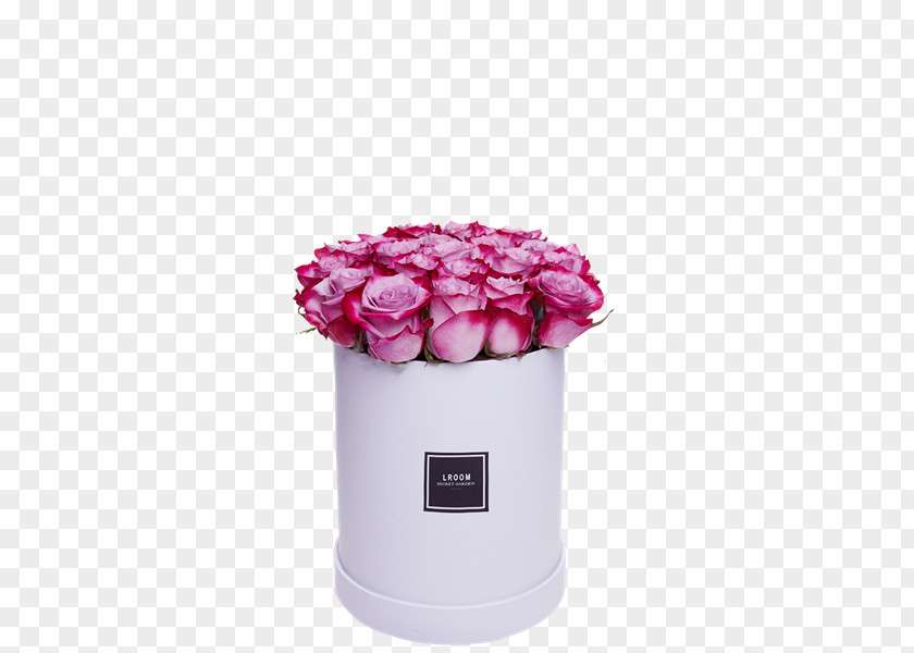 Rose Garden Roses Cut Flowers Flower Preservation PNG