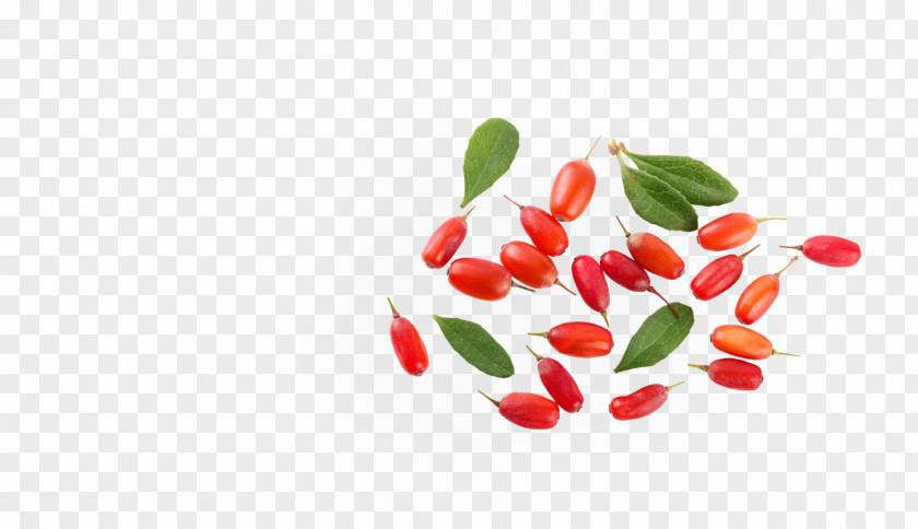 Tabasco Pepper Red Plant Superfruit Food PNG