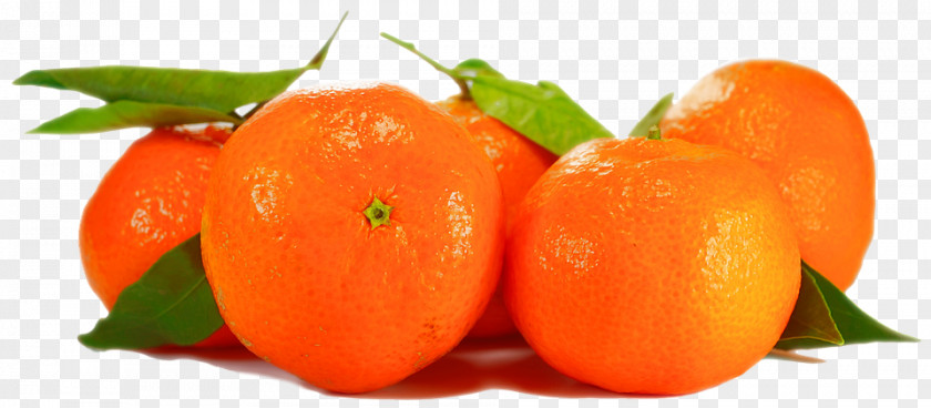 Tomato Organic Food Orange Tangerine PNG