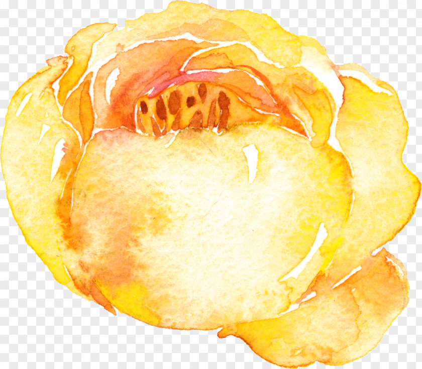 Yellow Flowers Watercolor Painting PNG