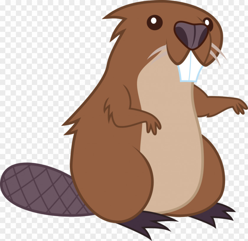 Beaver Clip Art Image Cartoon PNG