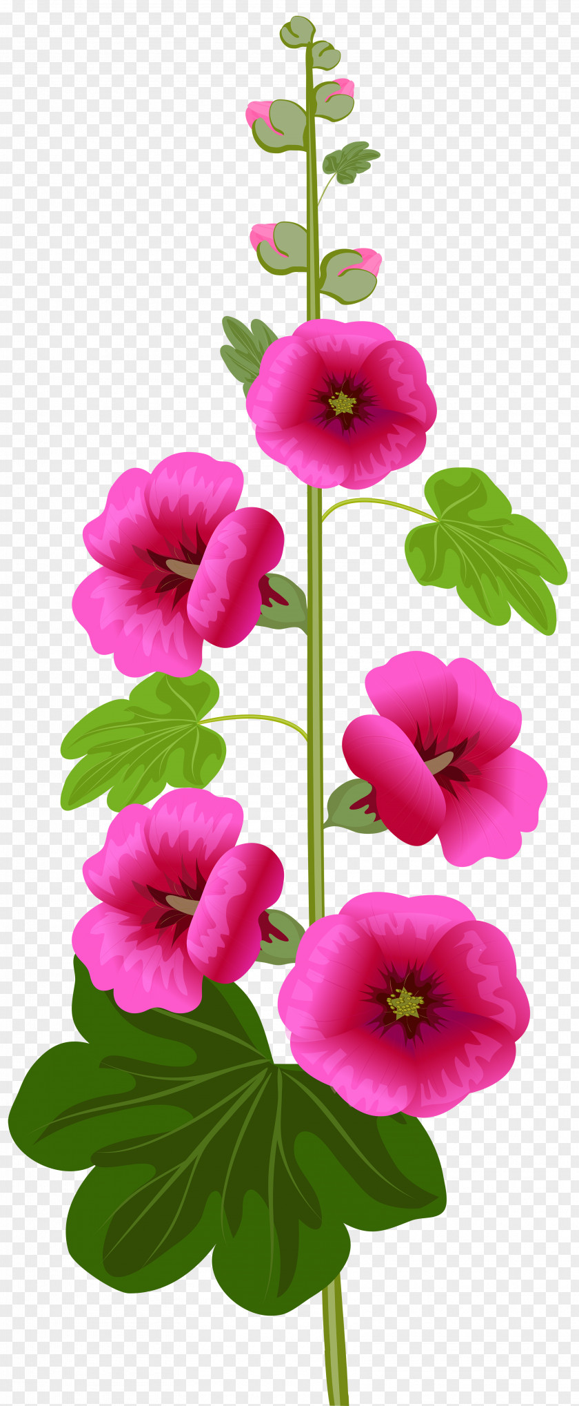 Free Impatiens Cliparts Blessing Love Clip Art PNG