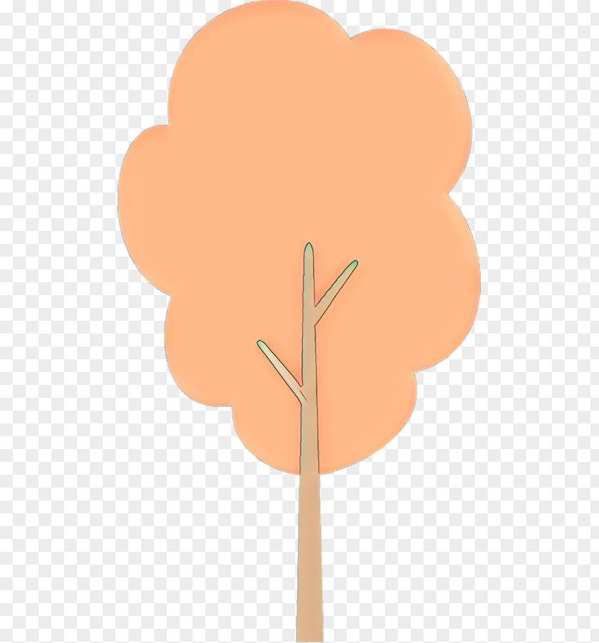 Leaf Material Property Tree Plant Peach PNG