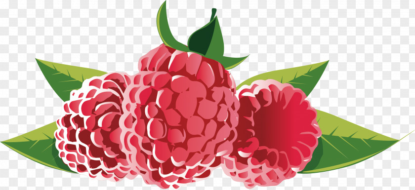 Loganberry Decorative Advertising Element Strawberry European Blueberry Fruit PNG