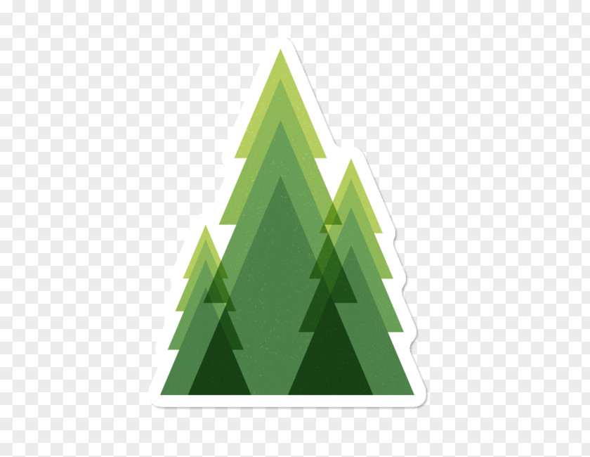 Plant Conifer Christmas Tree Background PNG