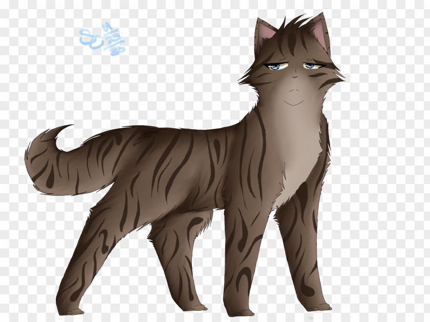 Cat Whiskers Dog Fur Canidae PNG