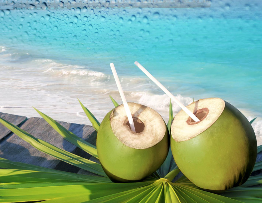 Coconut Fizzy Drinks Water Sports & Energy Non-alcoholic Drink PNG