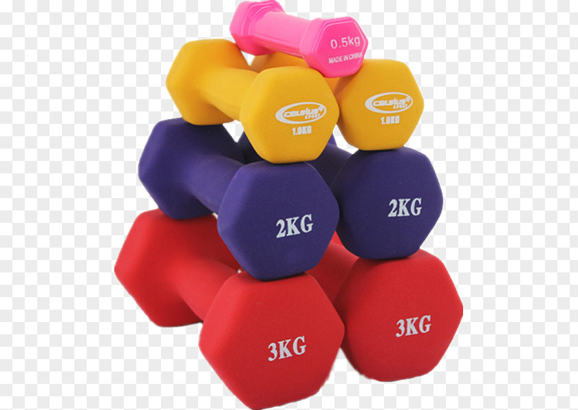 Color Dumbbell Physical Exercise Equipment Barbell Bodybuilding PNG