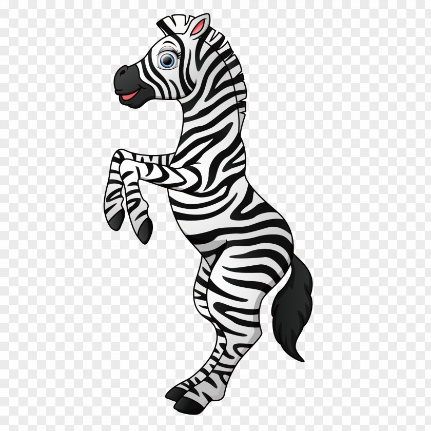 Cute Zebra Z For Illustration PNG