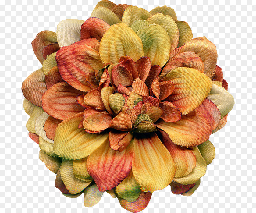 Design Floral Google Images PNG