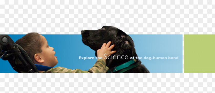 Dog And Human Behavior Education Service Conversation PNG