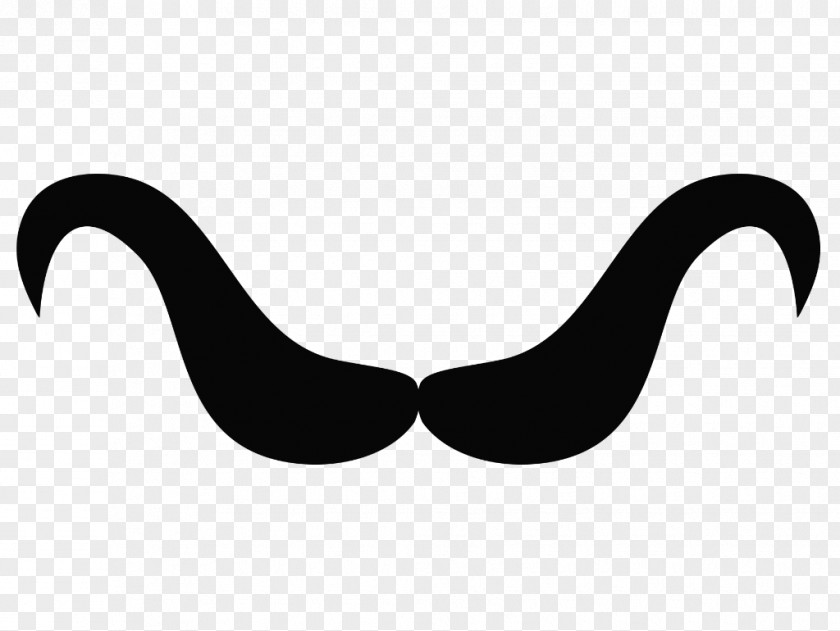 Moustache Clip Art Logo Beak Product Design PNG