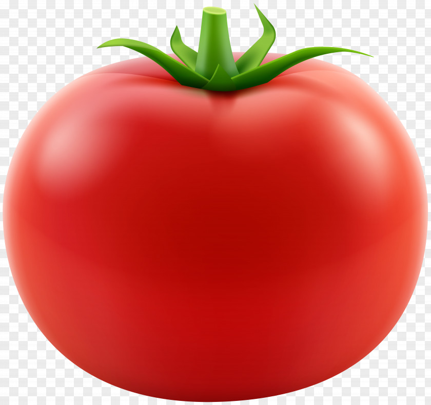 Red Tomato Transparent Clip Art Image Plum Bush Food Brand PNG