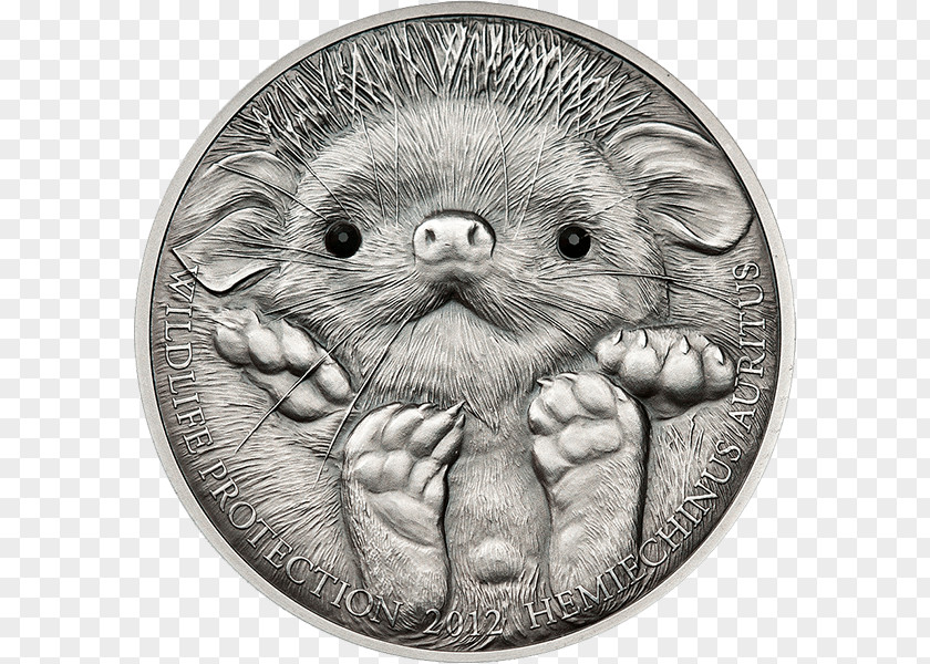 Silver Mongolian Tögrög Long-eared Hedgehog Coin PNG