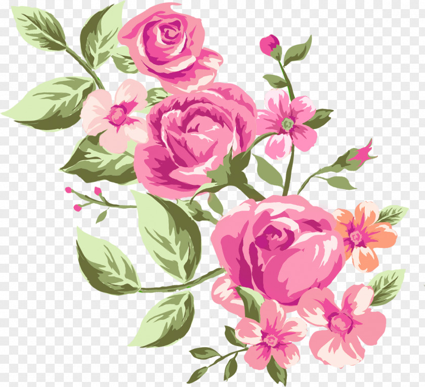 Teo Garden Roses Cabbage Rose Floral Design Cut Flowers PNG
