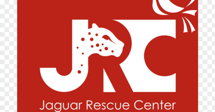 Tiger Jaguar Rescue Center Puerto Viejo De Talamanca Animal PNG