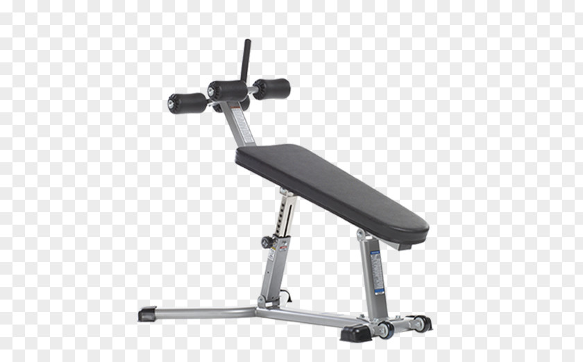 Weight Machine Bench Abdomen Strength Training Physical Fitness Muscle PNG